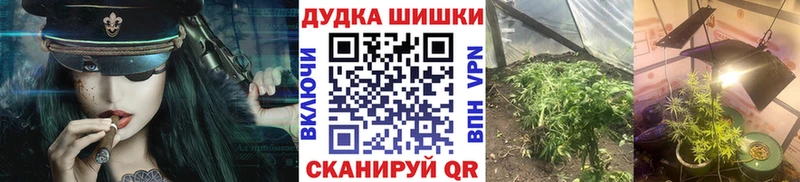 Купить наркоту Заозёрск ГАШИШ Конопля hydra как зайти Меф COCAIN