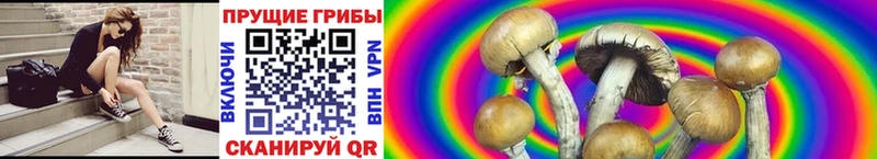 Галлюциногенные грибы MAGIC MUSHROOMS  Заозёрск 